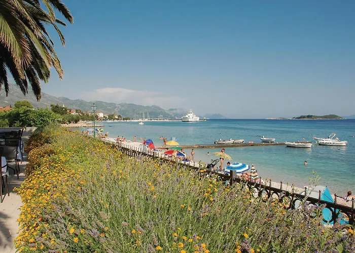 Apartment In Potomje